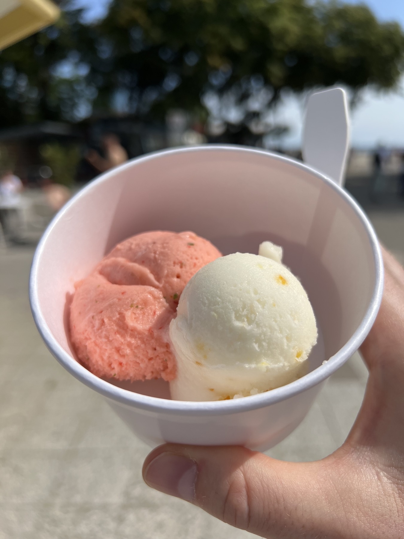 Strawberry and lemon sorbet in a paper cup against the water